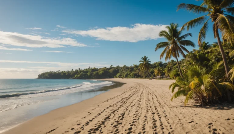 cout de la vie costa rica